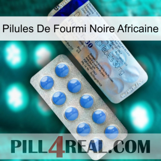 African Black Ant Pills 39